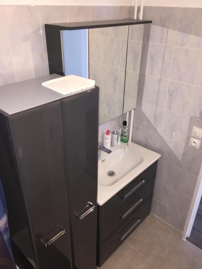 Grand Appartement A Louer Vue Sur Seine Melun Bagian luar foto